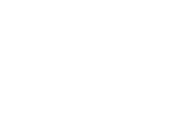 Wild Apollo LLC